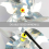 6 Pieces Windmills, Bird Repellent,Fruit Garden,Reflective Windmill, Bird Repellent, Bird Repellent, Reflective Windmill 4