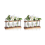 2X Plant Propagation Station with Wooden Stand,Plant Terrarium Desktop Propagation Stations,Air Planter Bulb Glass Vase 2