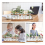 2X Plant Propagation Station with Wooden Stand,Plant Terrarium Desktop Propagation Stations,Air Planter Bulb Glass Vase 8
