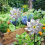 6 Pieces Windmills, Bird Repellent,Fruit Garden,Reflective Windmill, Bird Repellent, Bird Repellent, Reflective Windmill 6