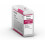 Epson EPSON Ink/Singlepack Vivid Mgt 1