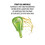 Garnier Garnier Nutrisse Ultra Color [R3] Ανοιχτό Έντονο Καστανό 1 Τεμάχιο 3