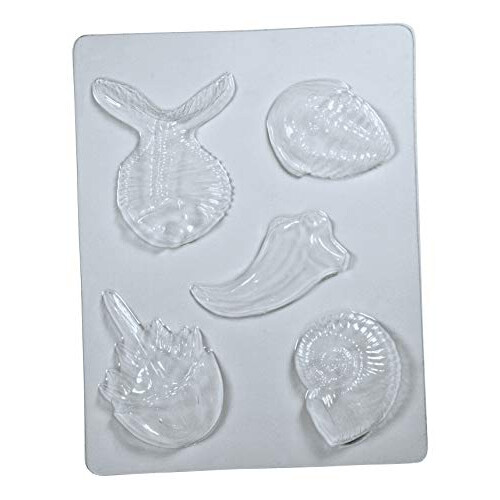 Molds, Fossil 2