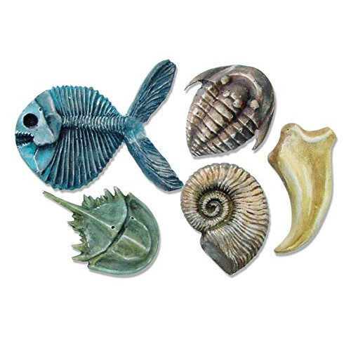 Molds, Fossil 1
