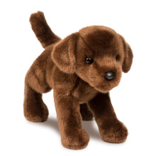 Douglas C.C. Bean Chocolate Lab Plush Toy - Realistic, Cuddly Brown Labrador Stuffed Animal (1888)