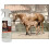UltraCruz Σπρέι Απομπλέκωσης για Άλογα, 32 oz 2