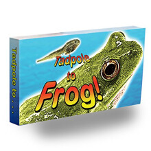 Fliptomania tadpole to groda animation flipbook