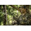 Hunters Specialties Ruttin' Buck Ράβδος Θορύβου 2