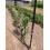 IRRIGATION-MART 6300FT Tomatenbinde-Gartenschnur 3