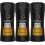 Axe Gel ντους, Σκοτεινός Πειρασμός, 16 oz (Συσκευασία 3 τμχ) 1