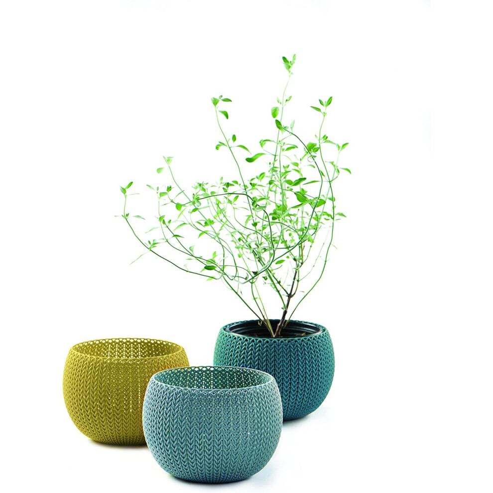 Keter Knit Cozies Indoor/Outdoor Garden Plant Pots Planters - Multi-Colour, Set of 3-image-OPC-PFYFYXR-NEW