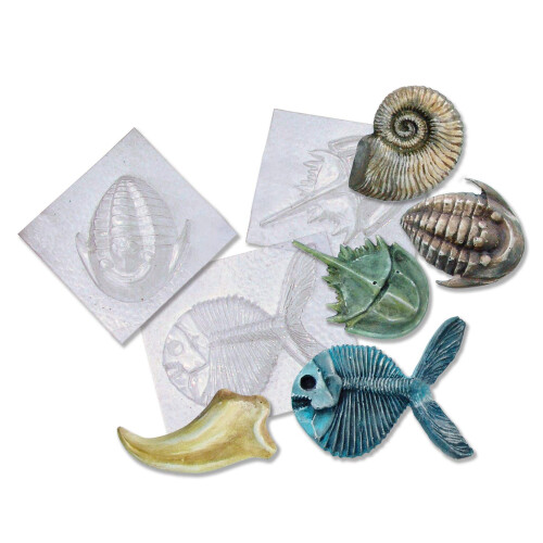 Molds, Fossil