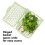 OXO OXO Good Grips GreenSaver Herb Keeper- 1.8 QT 5