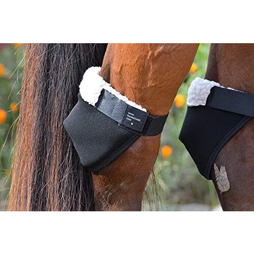 Intrepid International Hock Shield Regular 1