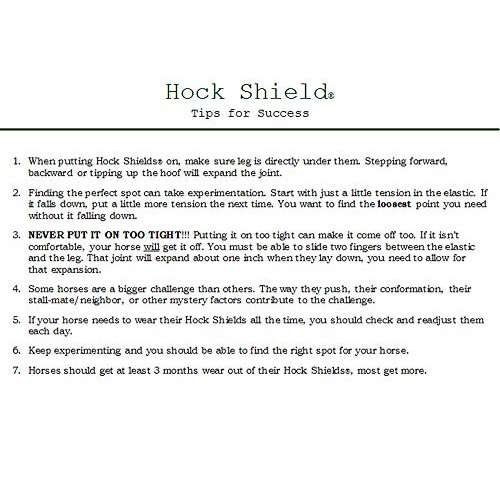 Intrepid International Hock Shield Regular 2