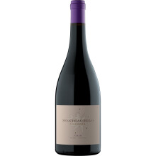 Bressia Monteagrelo Syrah (case of 6x75cl)