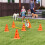 PawHut PawHut Dog Agility Equipment Set, Three-Piece Adjustable Height Jumping 1