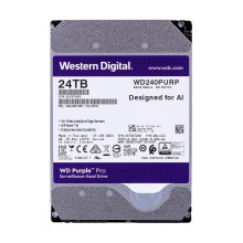 WD Purple Pro WD240PURP - dis