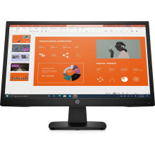 P22va G4 computer monitor