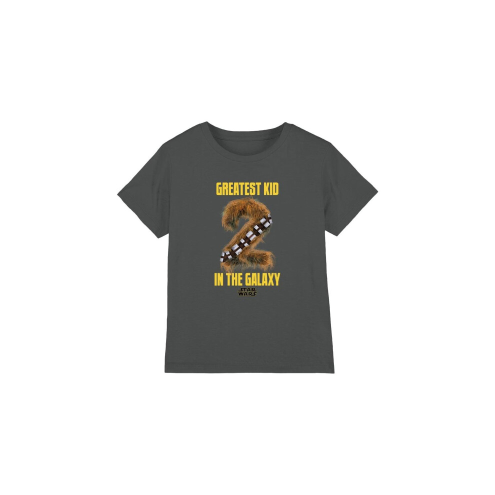 (12-13 Years, Charcoal) Star Wars Childrens/Kids Greatest Kid Chewbacca T-Shirt