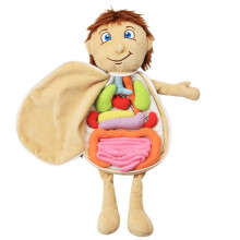 Kinder zusammengesetzt Plüsch Körper Organe Spielzeug menschlichen Körper Anatomie Plüsch Puppe Wissenschaft Lehrmittel Werkzeug Lernspielzeug