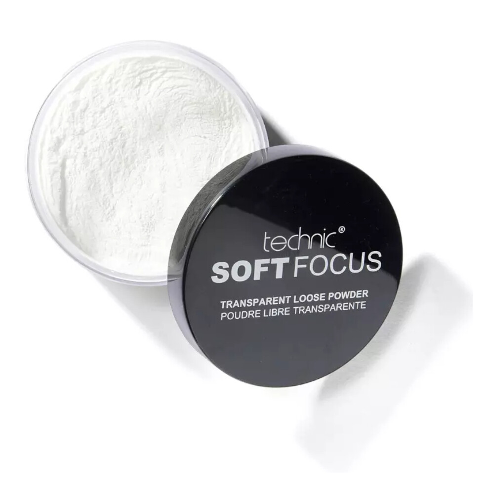 Technic Loose Powder Translucent Face Setting Fixing Finishing Powder