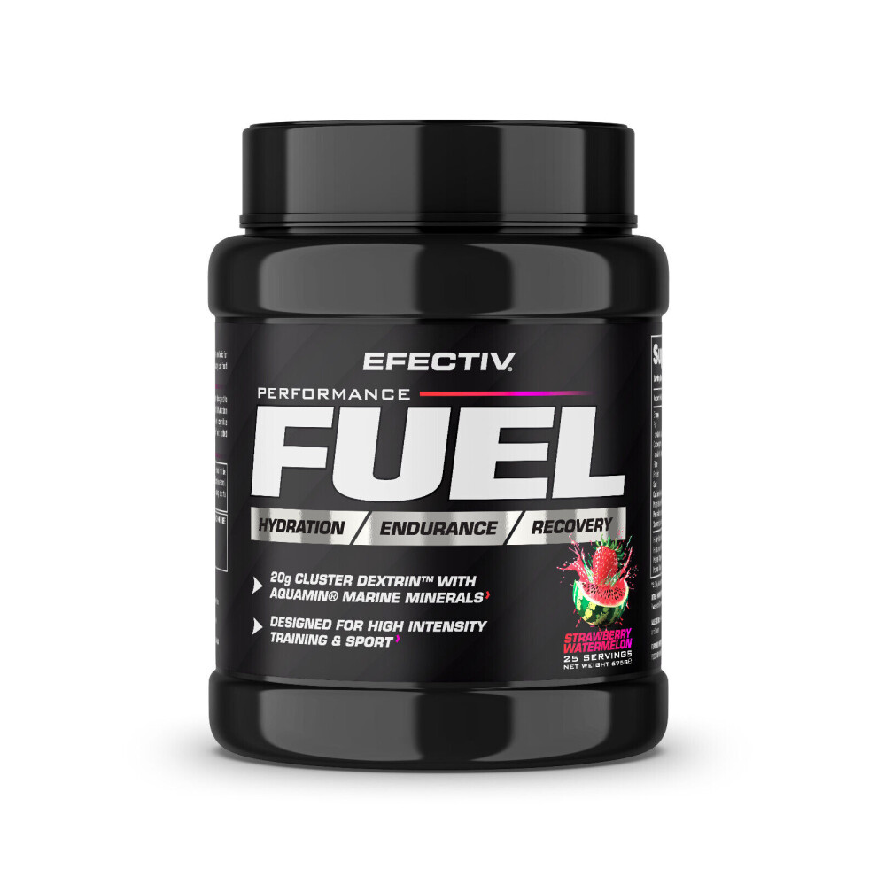 Efectiv Nutrition Performance Fuel 675G
