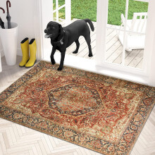 (40 x 60 cm- Small Bath Bathroom Mat/Welcome Entryway Door Mat , Majestic Cashmere) Non Slip Rugs Living Room Traditional Carpet Rug