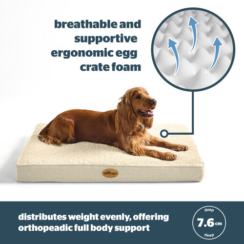 Silentnight (Medium) Silentnight Firm Support Crate Mattress Pet Bed 2