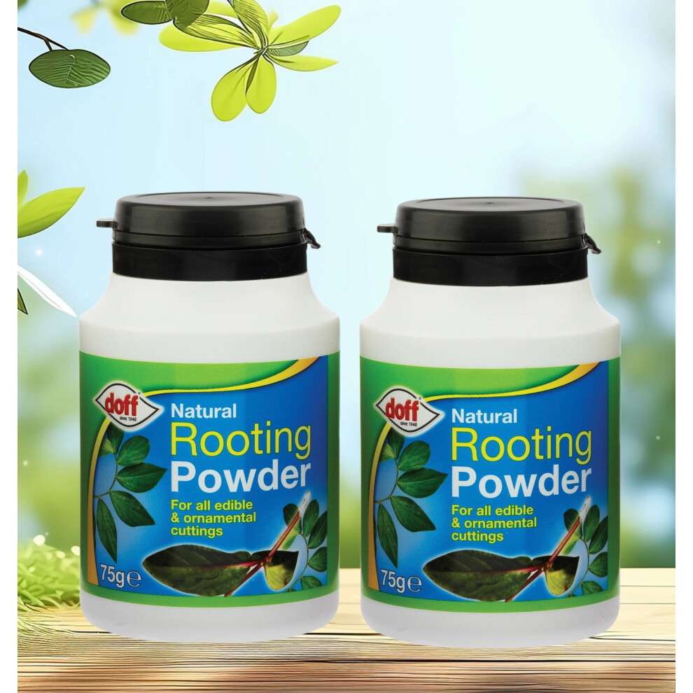 2x Natural Rooting Powder Cutting Promotes Strong Healthy Roots 75g