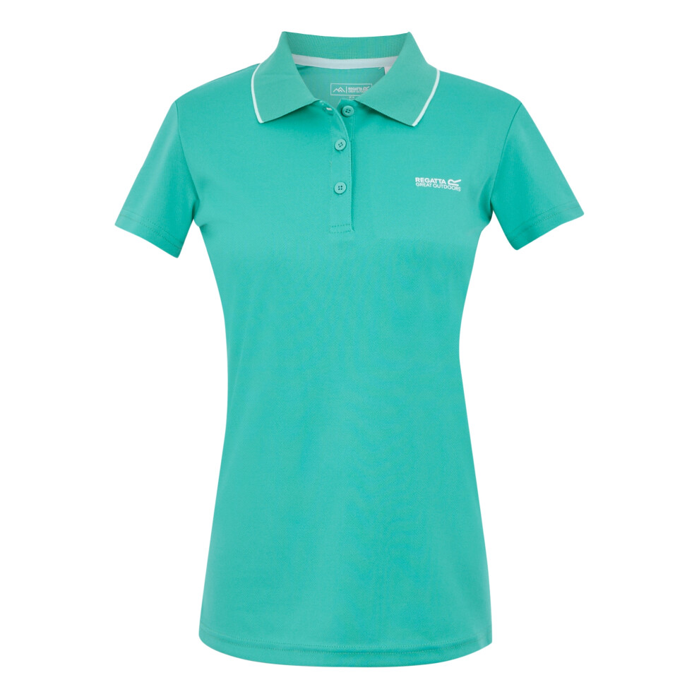(8 UK, Turquoise/Icy Morn) Regatta Womens/Ladies Maverick V Polo Shirt