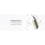 Profhilo Haenkenium Antioxidant Cream 1