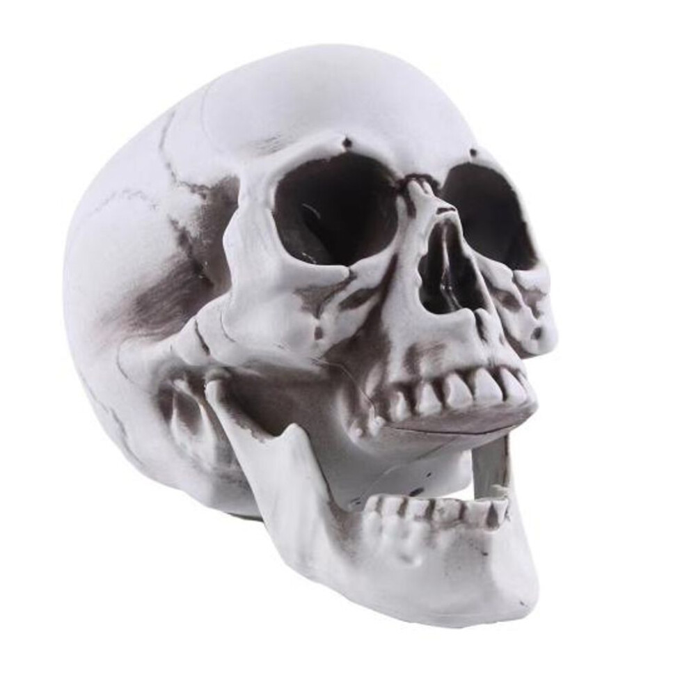 Life Size Human Skull Model Halloween Decor Skeleton Skull Realistic Human Adult