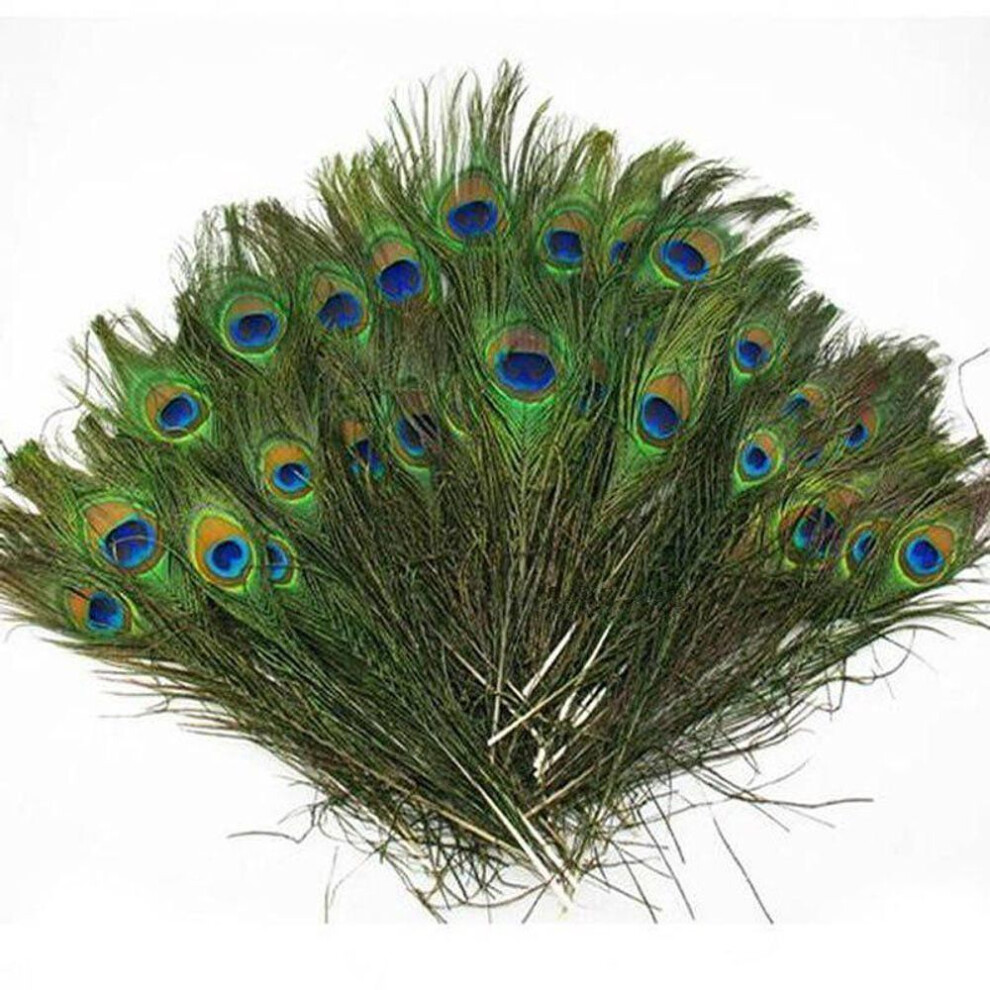 20pcs Natural Peacock Feather 23-30cm Diy Clothing Decoration