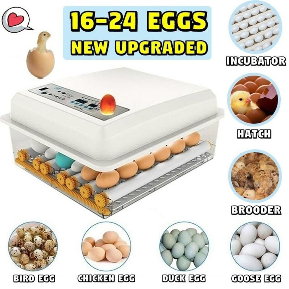(white, UK Plug-16 eggs) Upgraded Automatic Household 16-24 Eggs Incubator For Peacock Duck Goose Egg Quail Chicken Incubator Hatcher Brooder