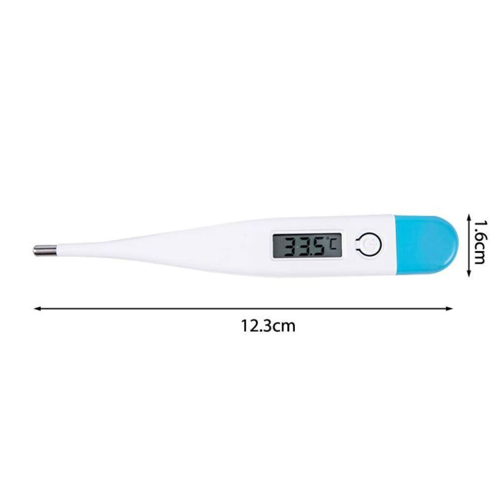 Portable Digital Celsius Thermometer