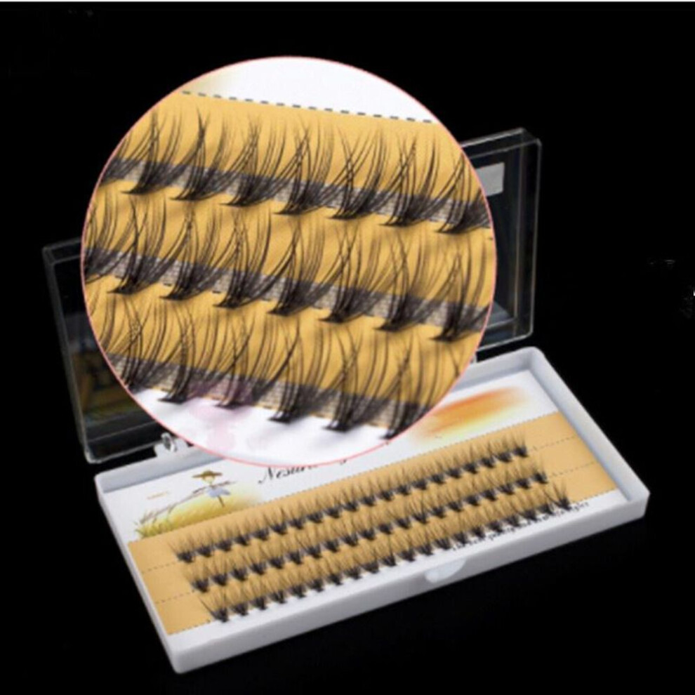 (6 mm) Soft Eyelash Deluxe Extension Lashes Flase Eyelashes Fans