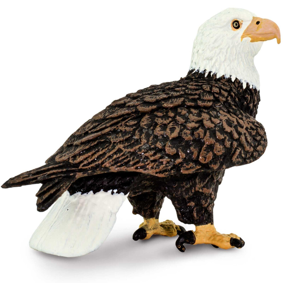 Safari Ltd. Bald Eagle Figurine - Realistic 2.4"" Bird Figure - Educational Toy For Boys Girls And Kids Ages 3+