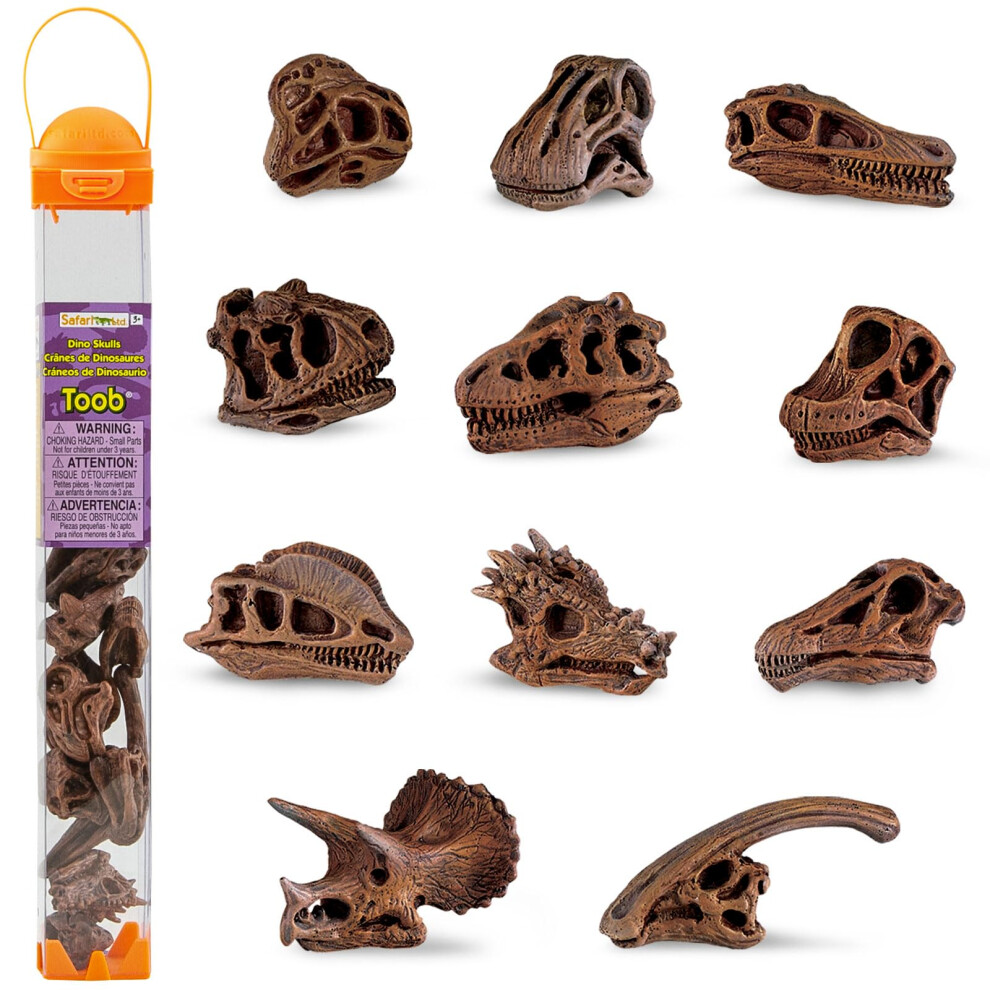 Safari Ltd Dinosaur Skulls TOOB - 11 Mini Figurines Including Velociraptor Brachiosaurus Oviraptor Triceratops Tyrannosaurus Rex And More - Educat