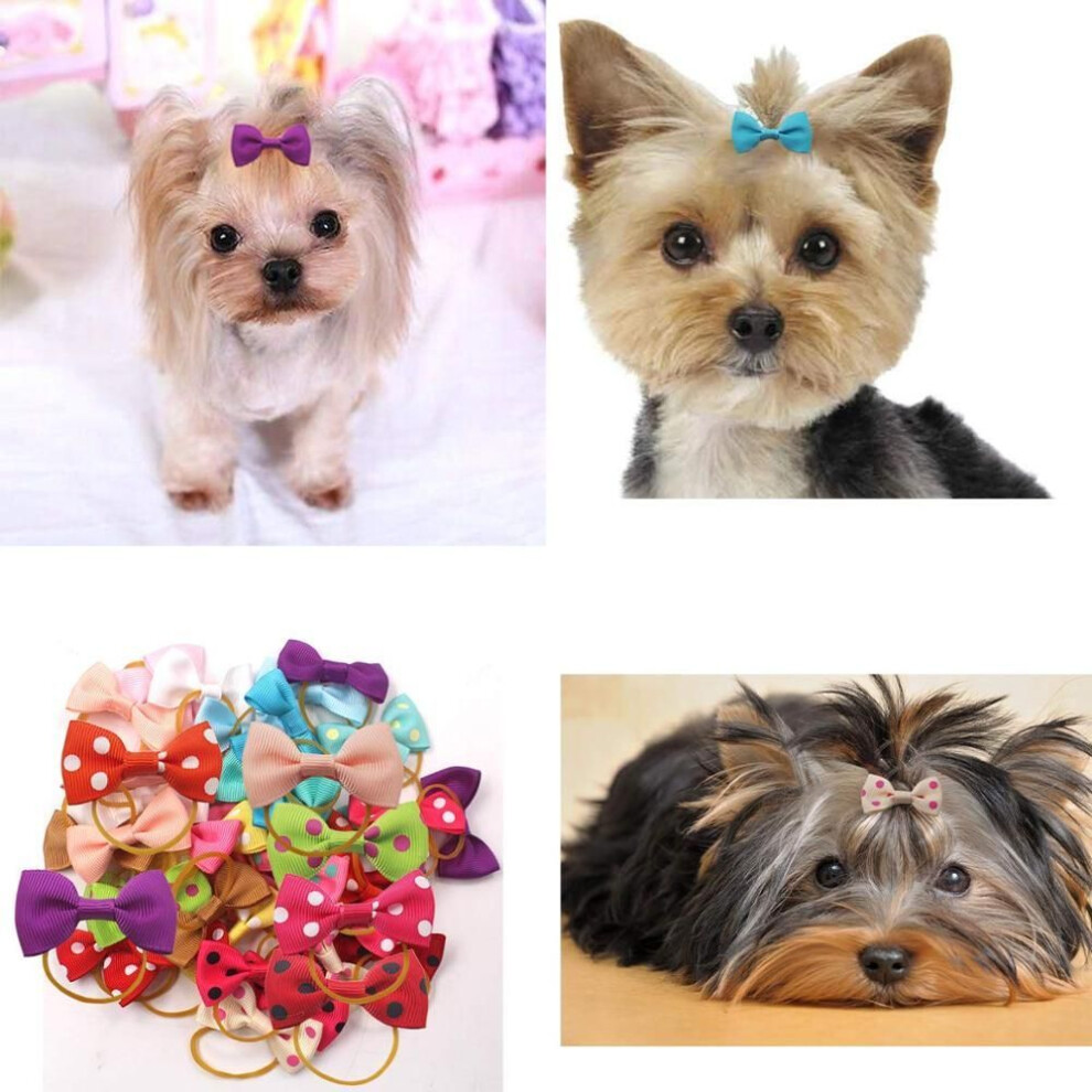 100pcs Dog Hair Bows With Rubber Bands Pet Gromming Products Pet Hair Accessories For Puppy Small Dogs Cats(multi-colored)