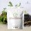 (2kg) Premium Black Maca Powder 4