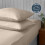 Silentnight (Natural) Silentnight Supersoft Pillowcase Pair Flap Close 3