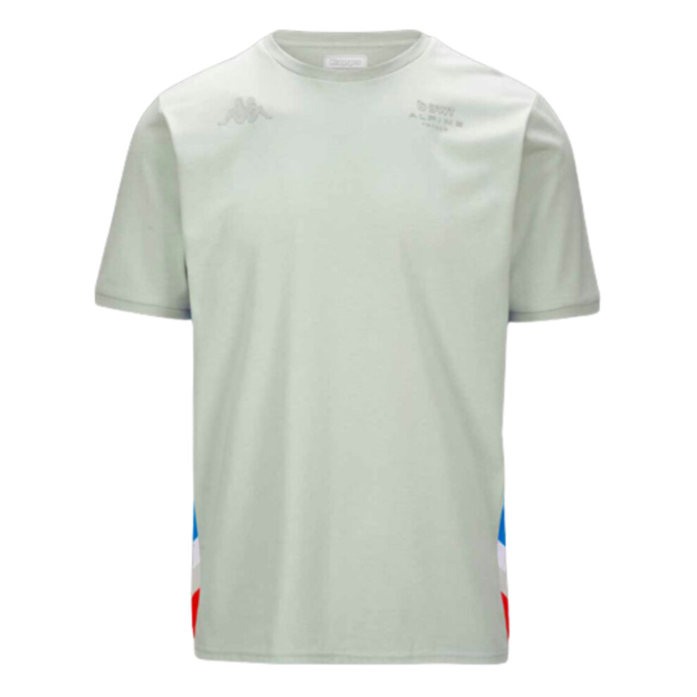 (L) 2023 Alpine Mens T-Shirt (Light Grey)