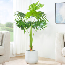 (120CM) Artificial Fan Palm with Plastic Planter and Moss