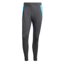 (S) 2024-2025 Argentina Training Pants (Carbon)