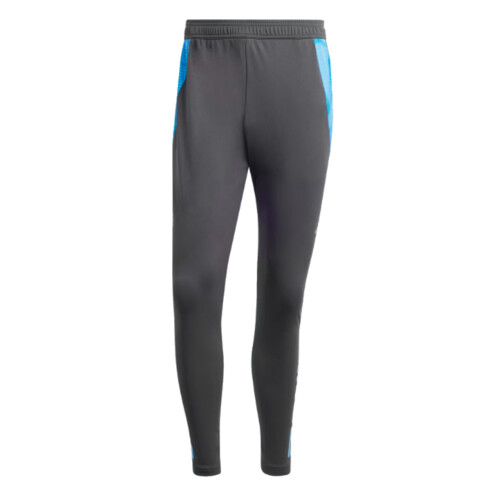 Adidas (S) 2024-2025 Argentina Training Pants (Carbon)