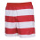 Hummel (XL) 2024-2025 Denmark Pattern Swim Shorts (Red) 1