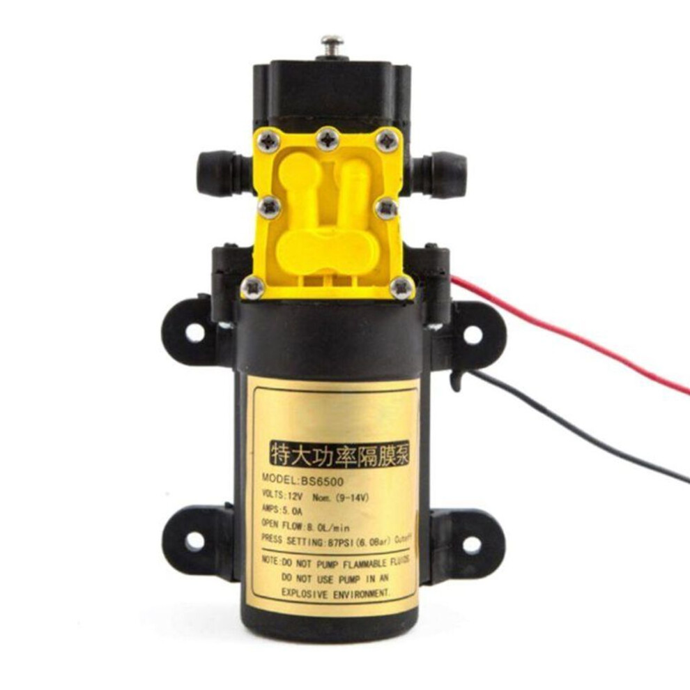8l/min Large Flow Rate Agricultural Electric Water Pump Water Sprayer Car Wash