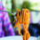 For-Ghetti Κουτάλια 4 για Σπαγγέτι με Νάμπς, Χάλυβας, Διασκεδαστικά και Πλενόμενα, 6.75" 4