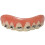 Billy Bob Fool-All Braces 2